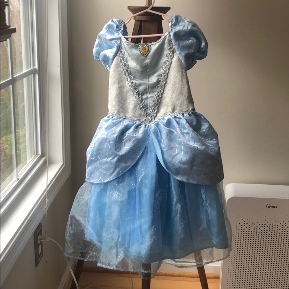 Disney Cinderella costume